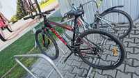 Bicicleta Omega Rowen 29"