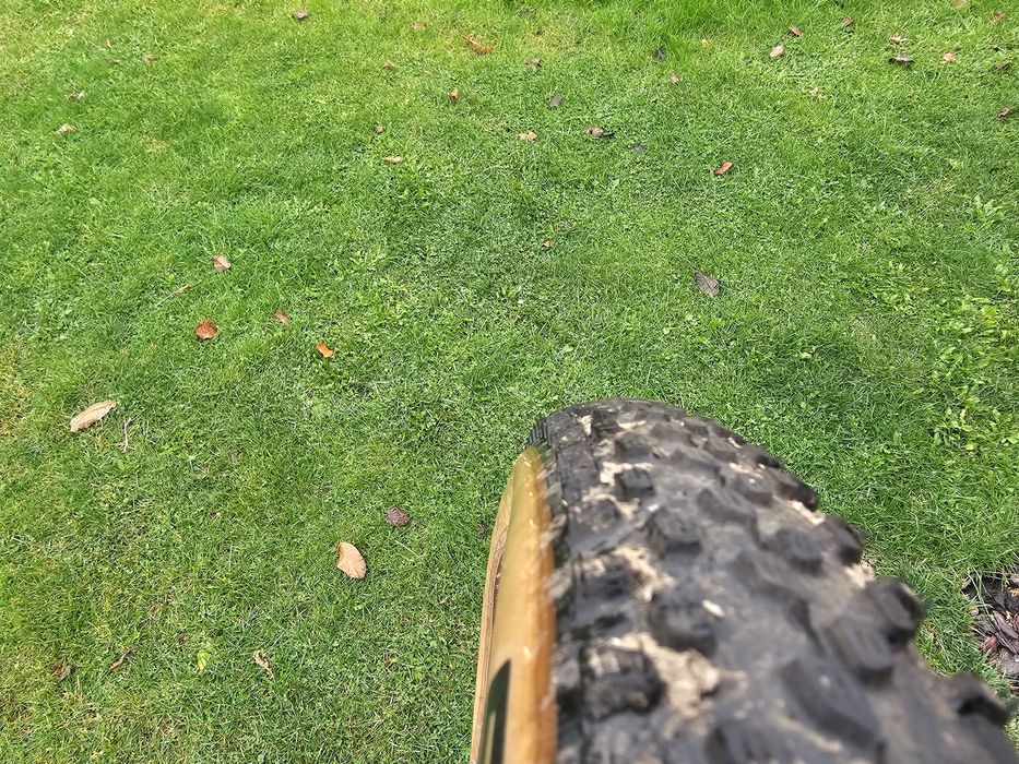 Schwalbe Racing Ralph Folding Tire - Evolution | AddixSpeed