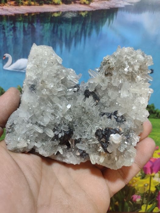 Минерали от родопите