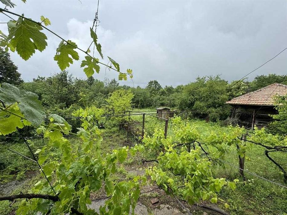 15201-Къща Думници