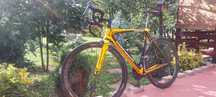 Cursiera carbon L-56 7,5 kg