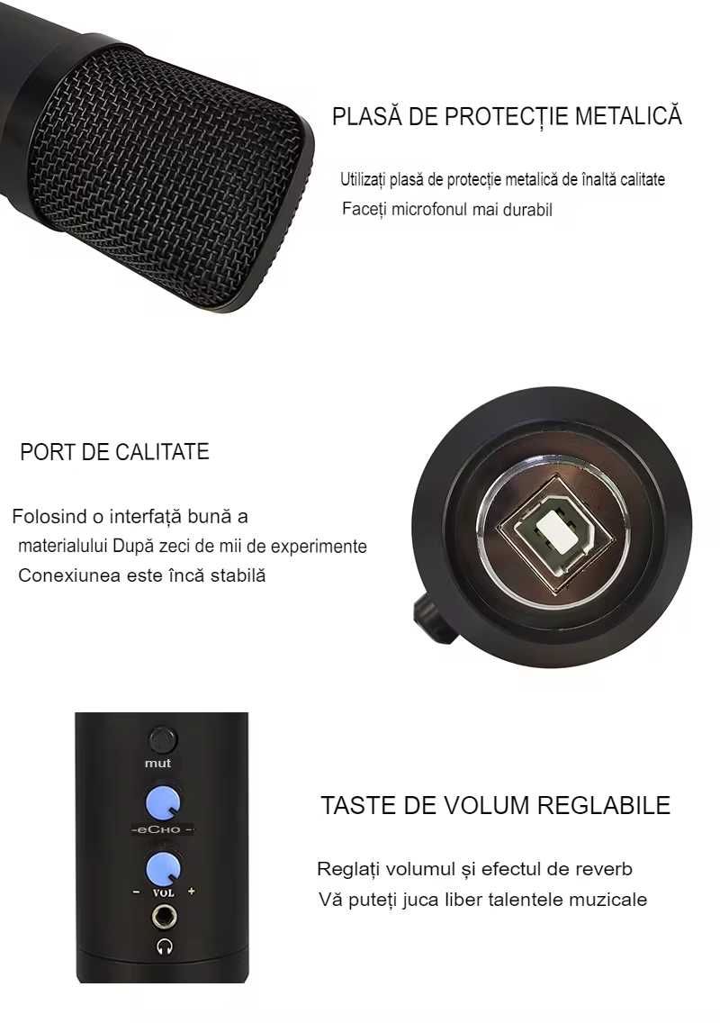 Microfon Profesional de Studio Condenser Riwral LRu700