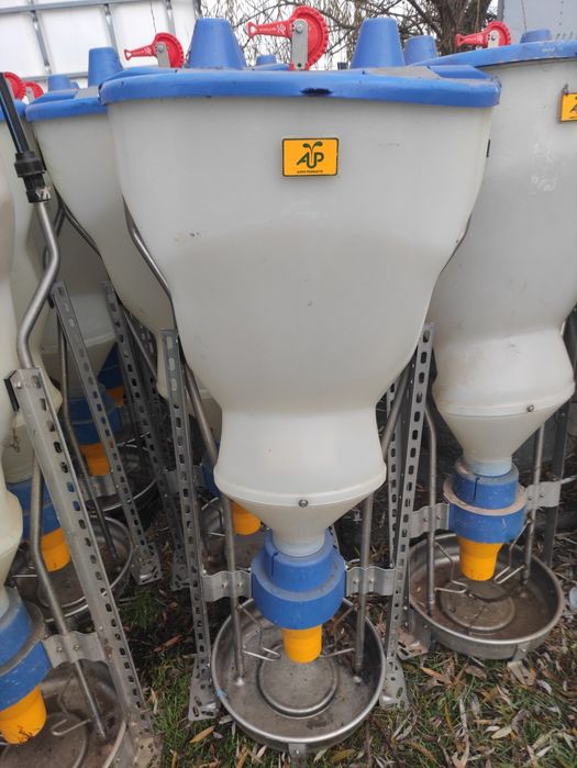 Hranitoare porci boxa fatare