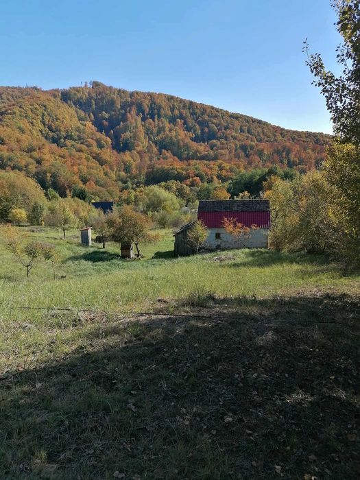 De vanzare teren intravilan 4500 mp,cu casa veche in Sovata