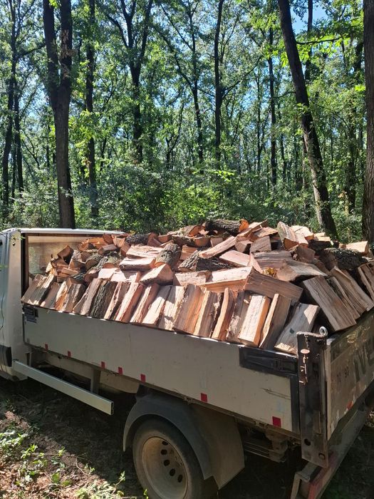 Vand lemne de foc stejar 600 lei tona