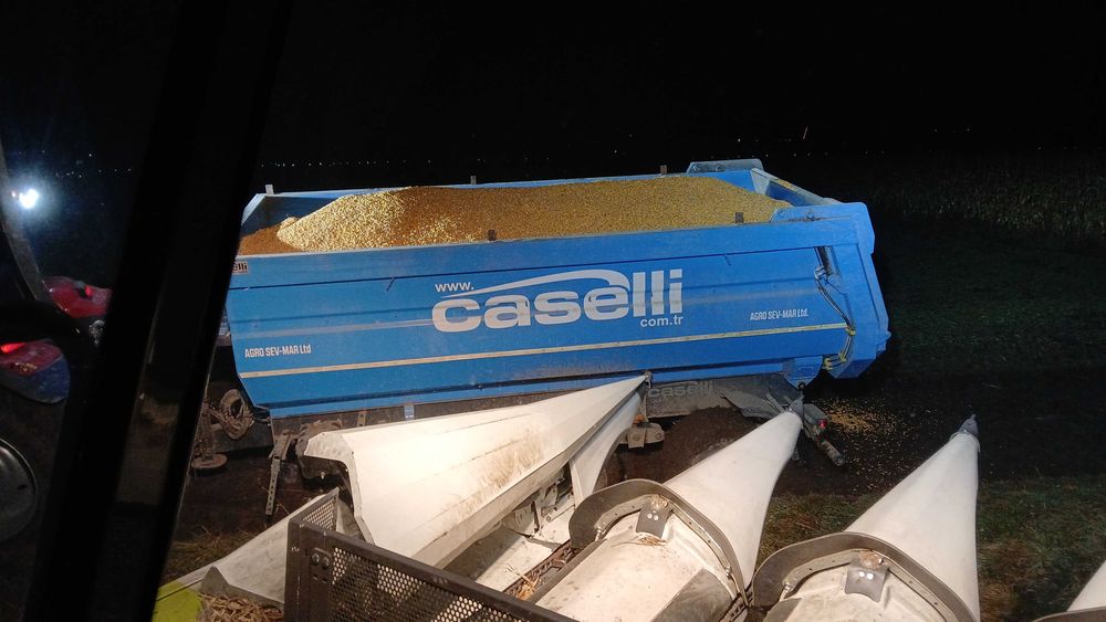 Vand porumb boabe ( graunte )