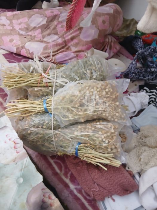 Продаётся исирик