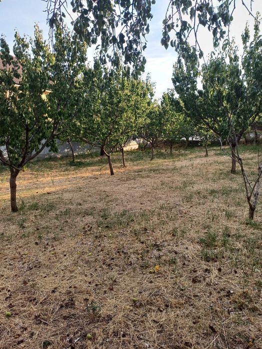 Teren intravilan de vânzare.