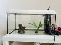 Acvariu 54l 60x30x34cm