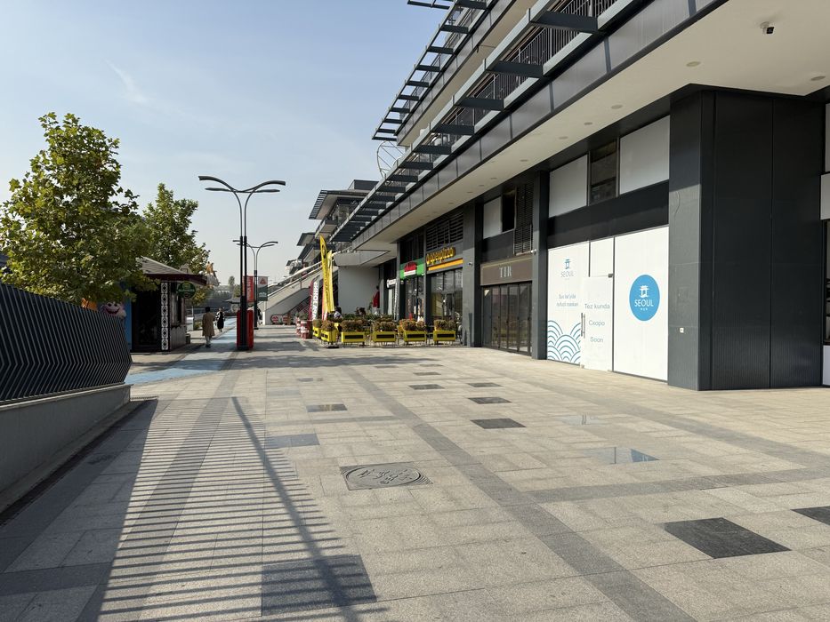 Нежилое помещение Сеул Мун [Seoul Moon] (аренда)