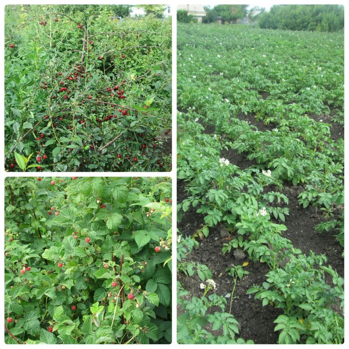 Продается 1/2 дома.Срочно.Торг