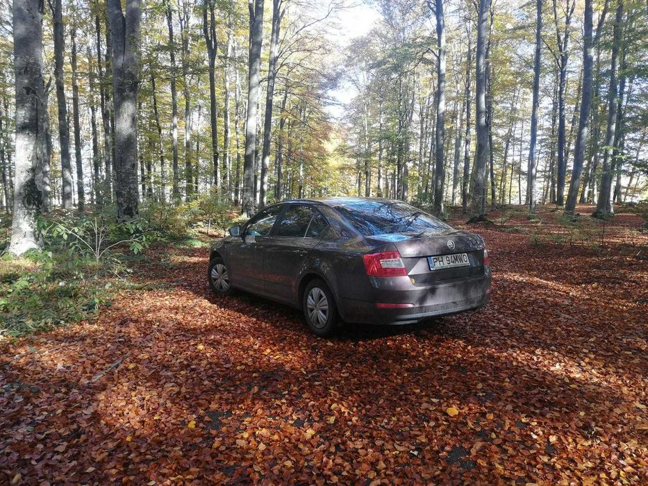 Vand Skoda Octavia 3