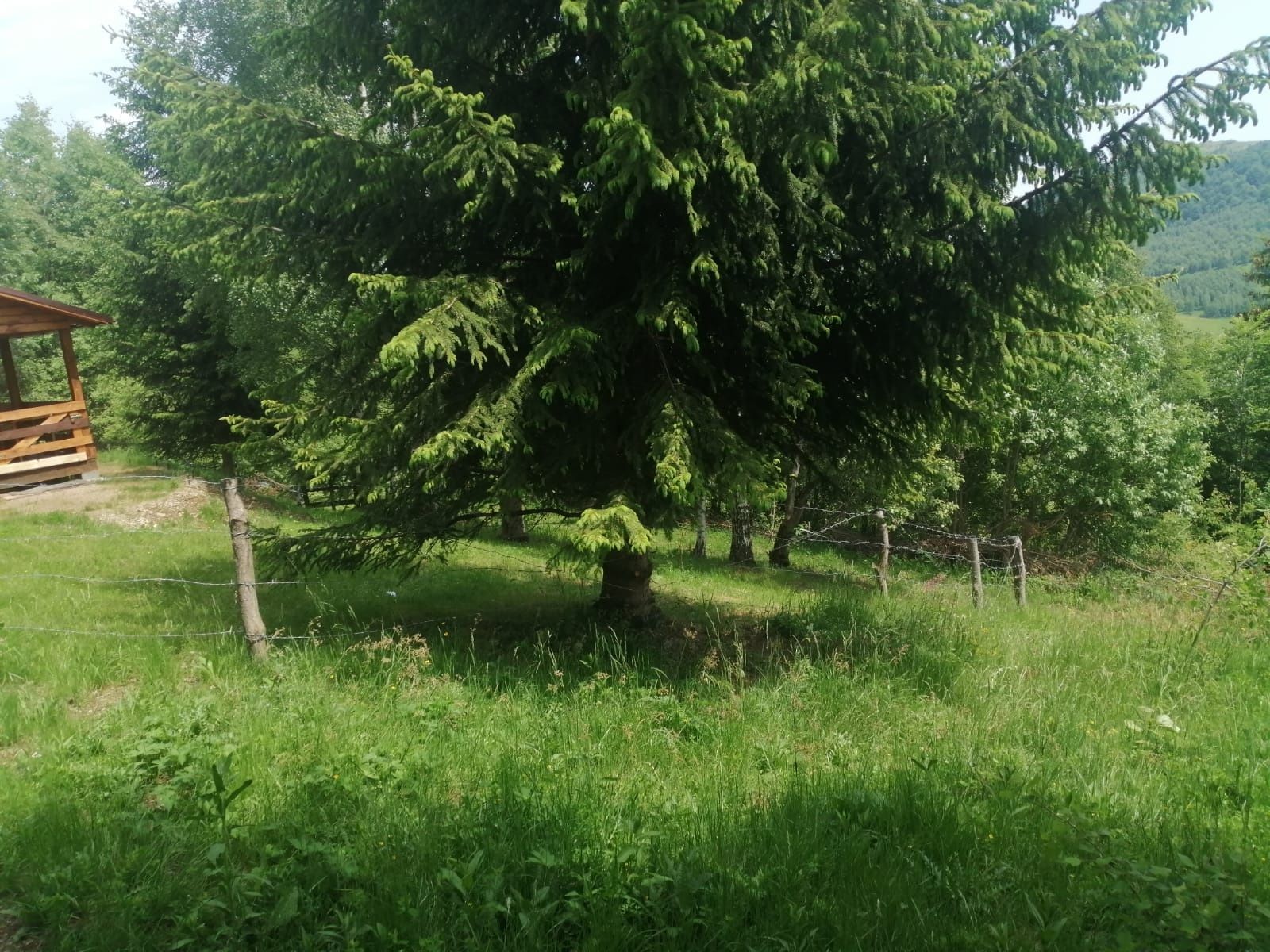 Teren INTRAVILAN Statiunea Baisoara CLUJ