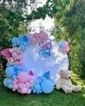 Decor baloane gender reveal Arcada baloane baby shower (sex bebelus)