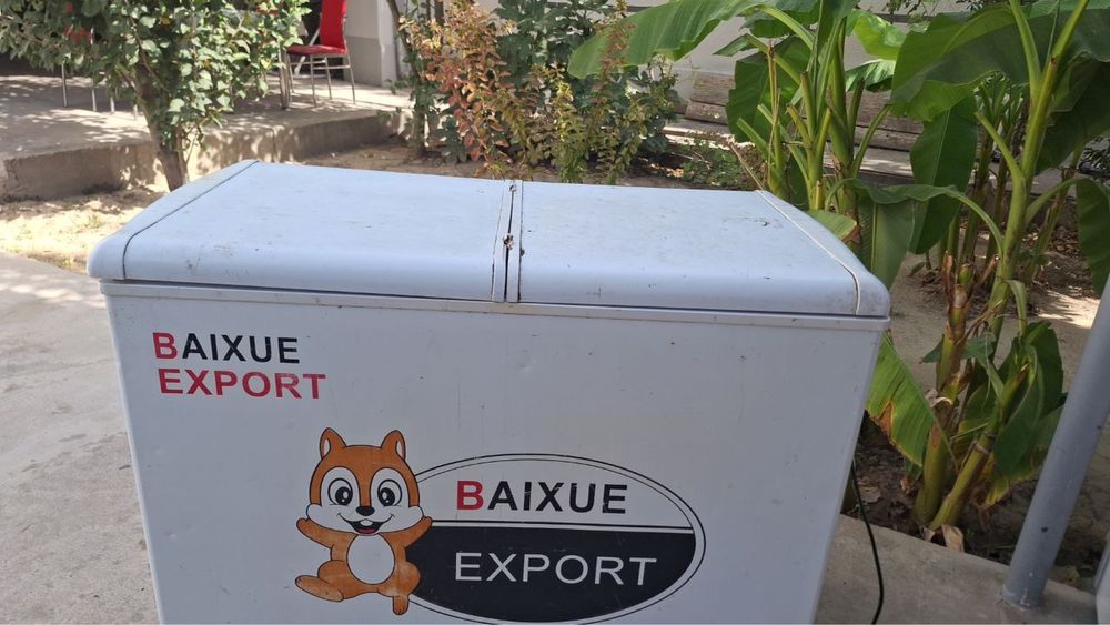 Export obon marazilnik Маразильник