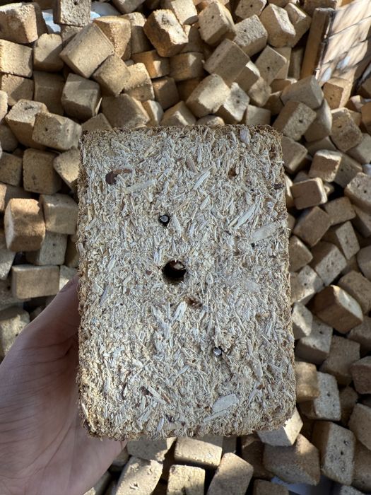 O’tin bor kubiklar apilkali