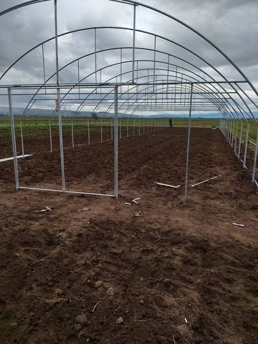 Solare si sere legume