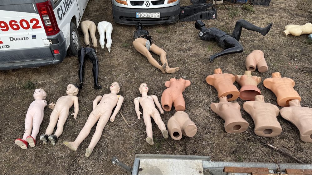 Busturi Barbat, busturi Dama, manechin, Manechini, manechine, bust