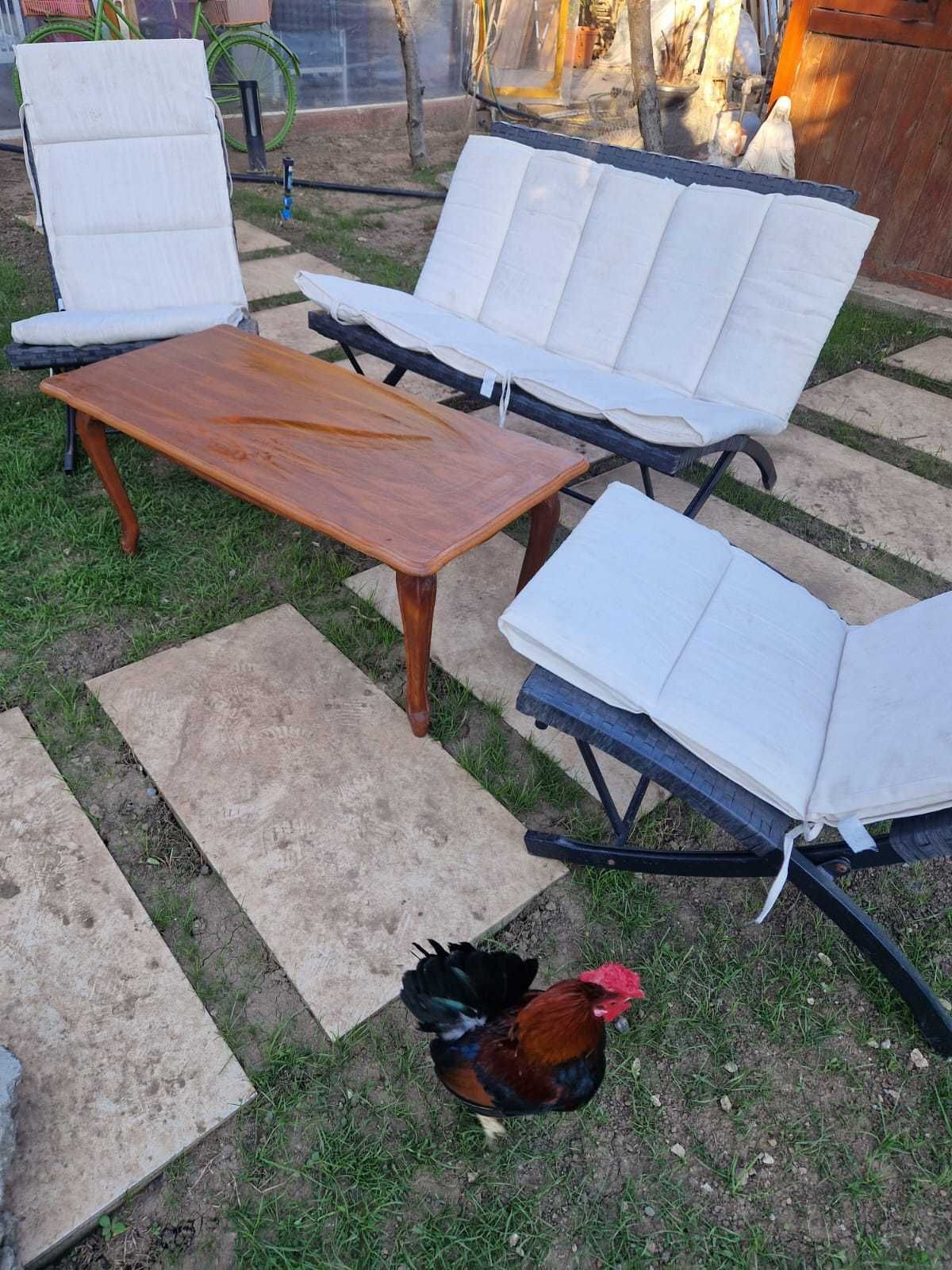 Set ratan Mobilier graadina