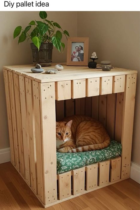 Вольеры для кошек, Вольеры для собак