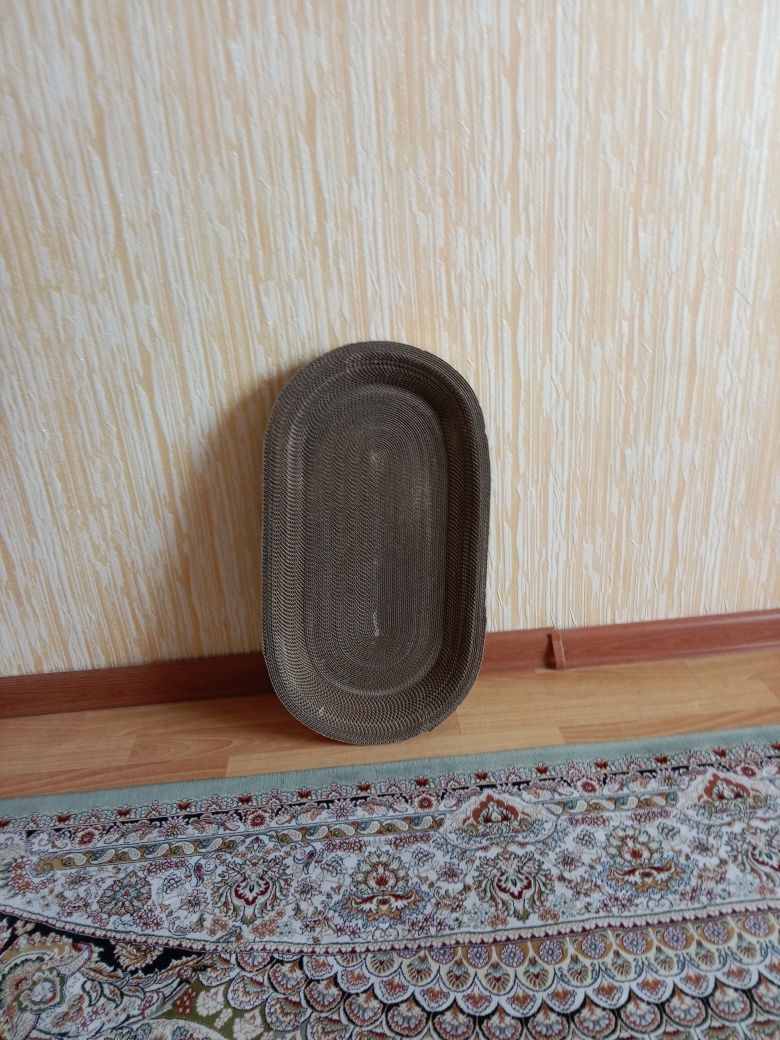 Коктеточка лежанка