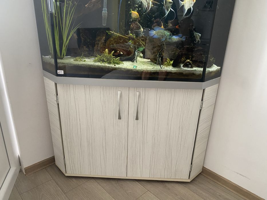Acvariu de 250 l pe colt