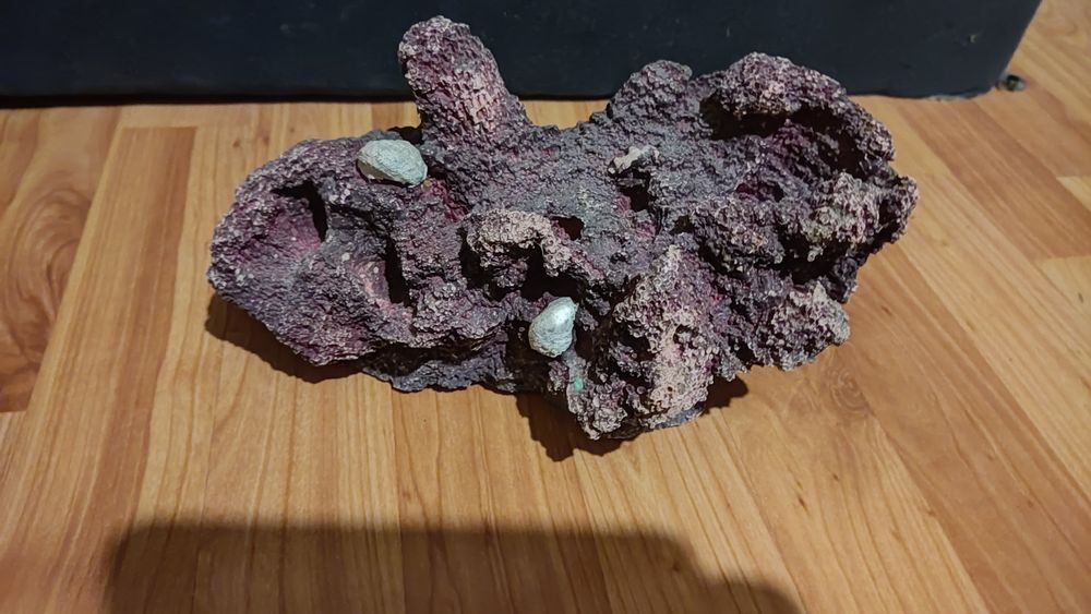 Все для аквариума 10000