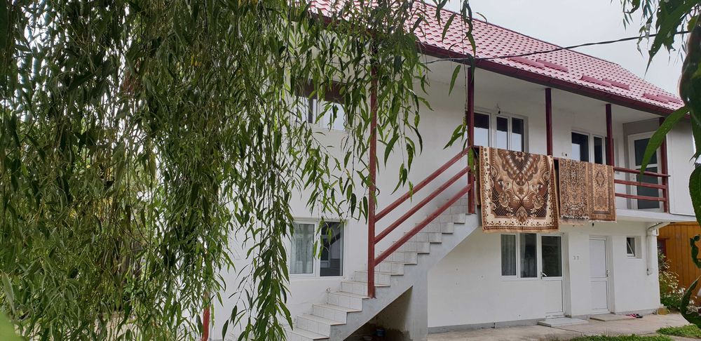 casa + dependinte + teren de vanzare Valea Brazilor, Baiculesti, Arges