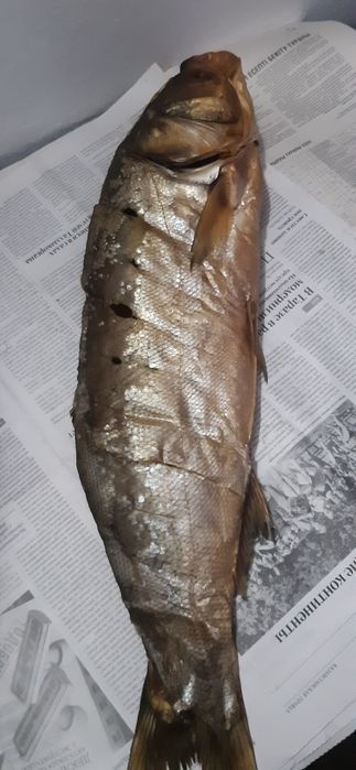 Капченный балыктар