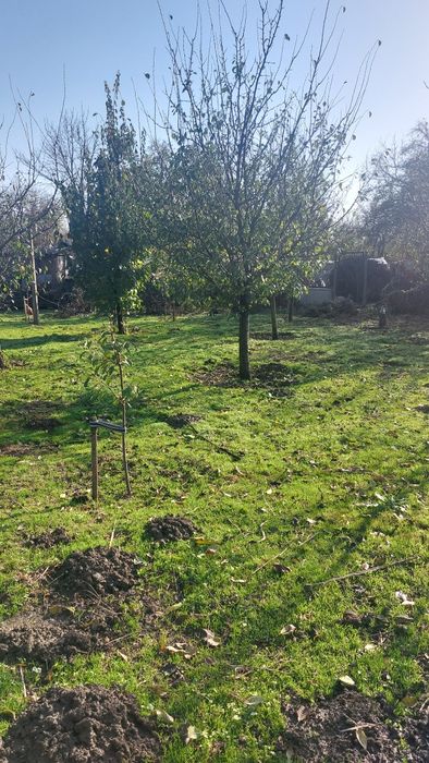 Casa loc. Platonesti, jud. Ialomița