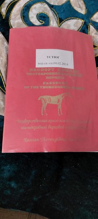 АЙҒЫР сатылады..