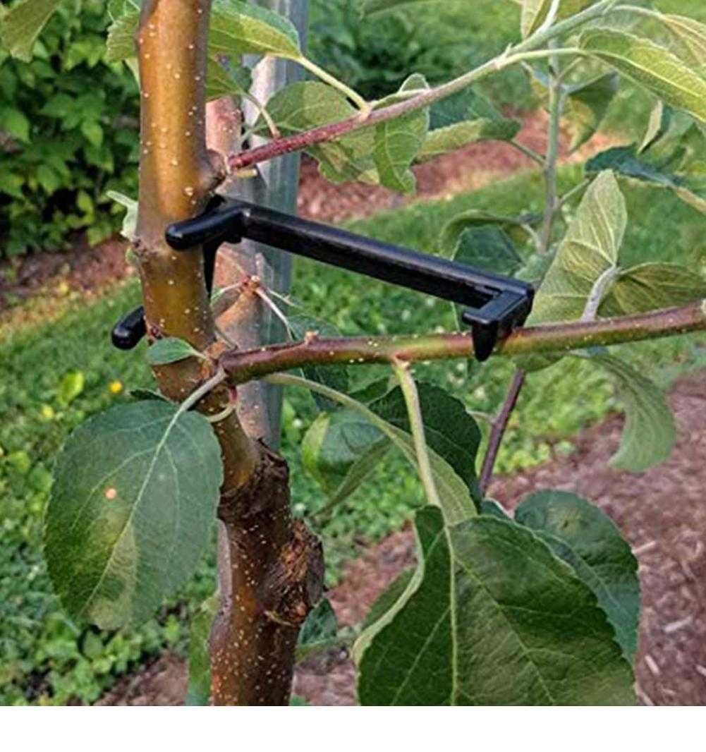Dispozitiv din plastic, pentru formarea coroanei la  pomi fructiferi