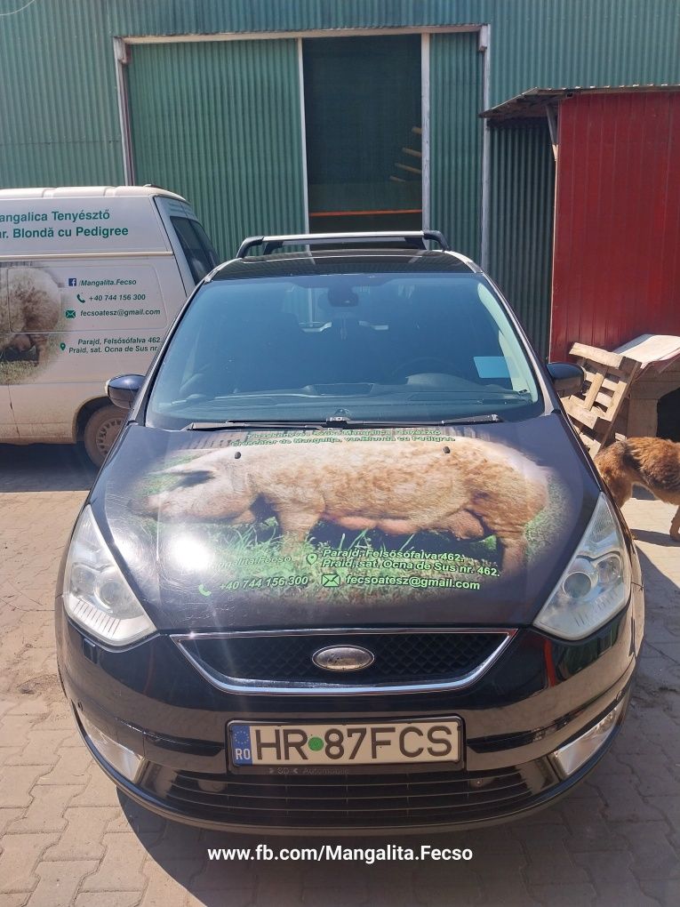 Ford Galaxy Ghia.  2,2 l , 175 Cp