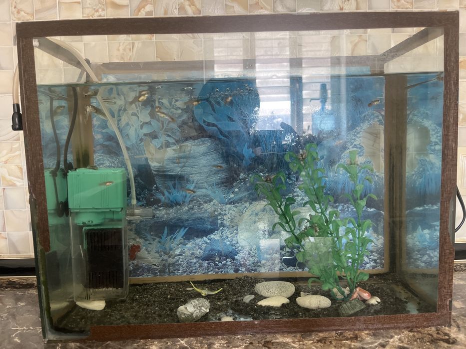 Аквариум 30 литр срочна сатылады