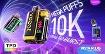 Vape-uri Vozol Vista plug