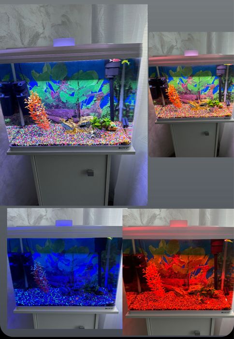 Acvariu  Boyu incorporat cu comoda