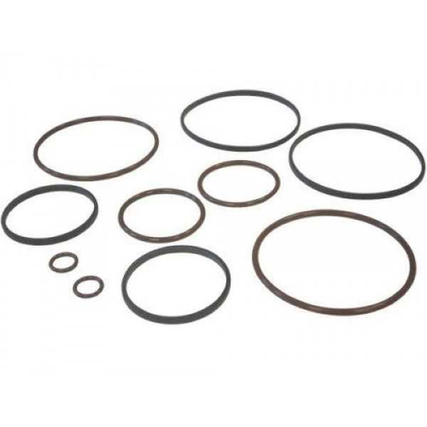 Ремкомплект двойного Vanos (Double Vanos) BMW M52TU, M54