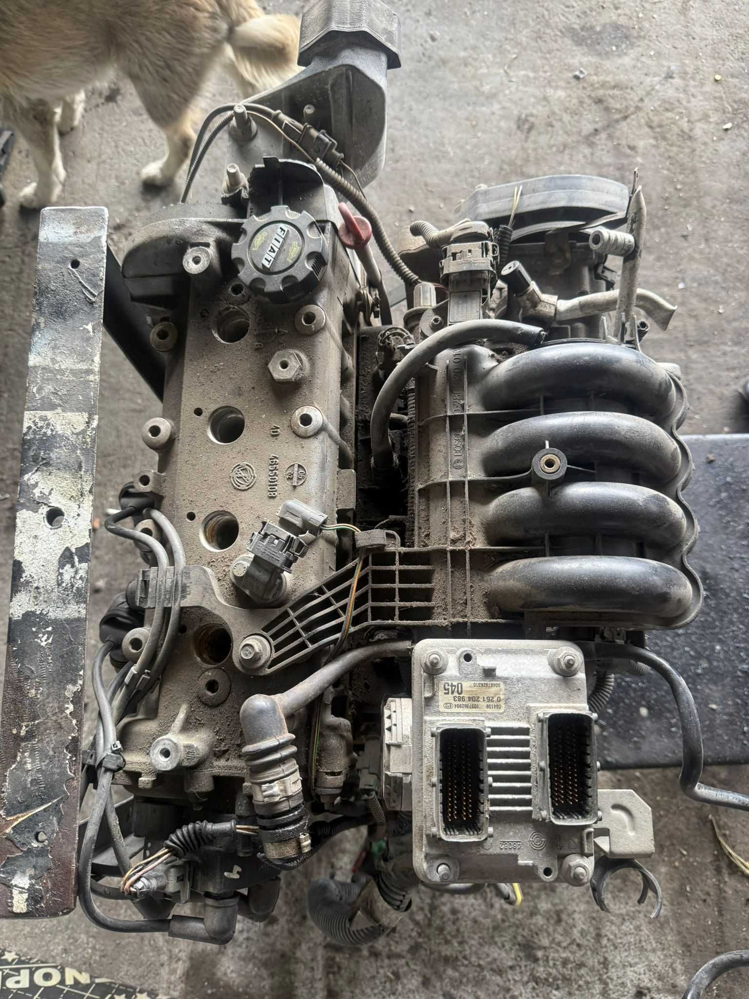 Двигател за фиат пунто Fiat Punto 1.2 16V