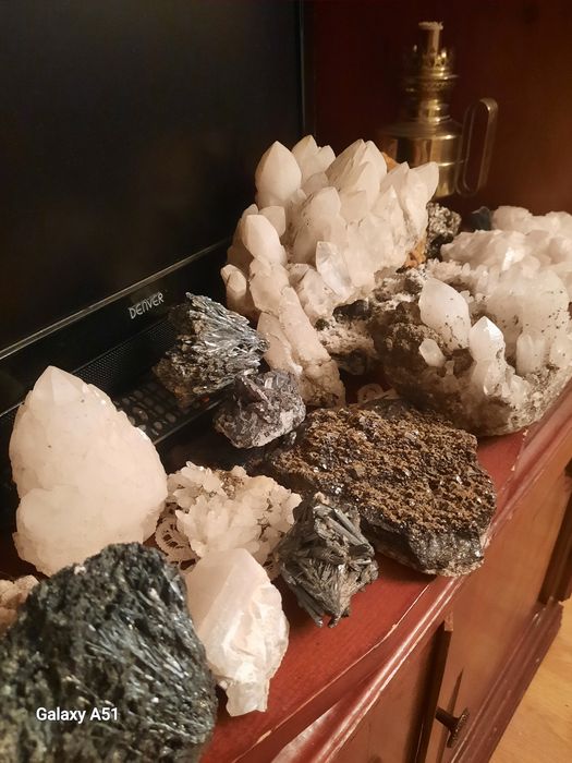 Flori de Mină, mari și mici