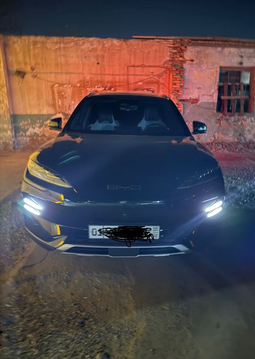 Byd chempion  605 km
