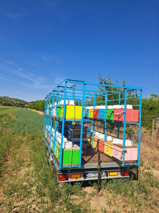 Platforma remorca apicola stupi