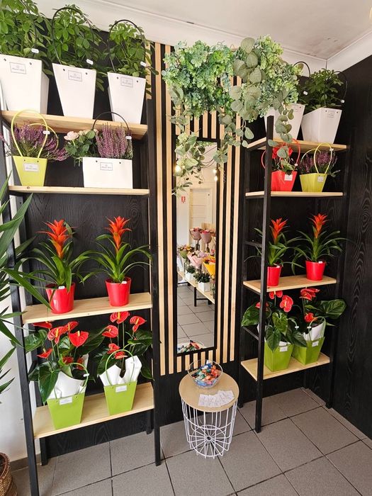 Vand afacere la cheie locație Cavnic, jud. MM