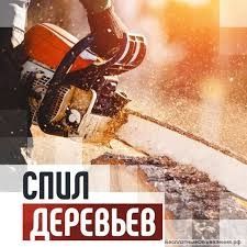 Спил Деревьев любой сложности