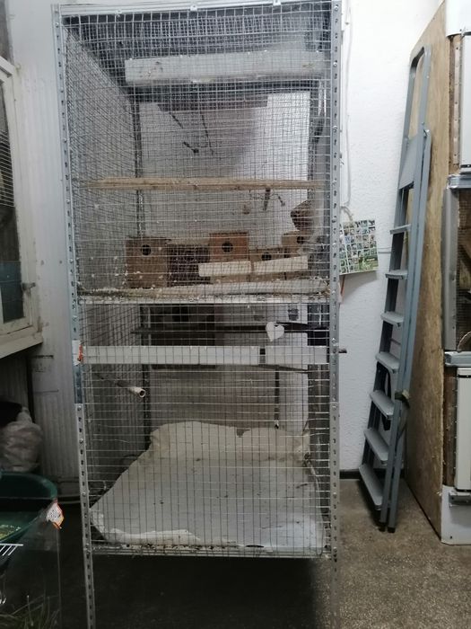 Cusca Voliera Colivie Mare  Dubla  Papagali,