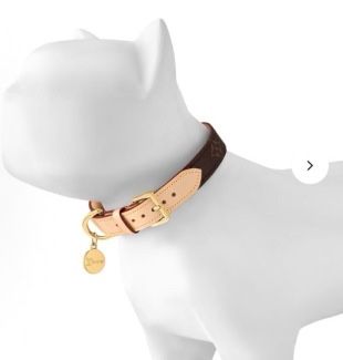 Каиша за домашен любимец LV