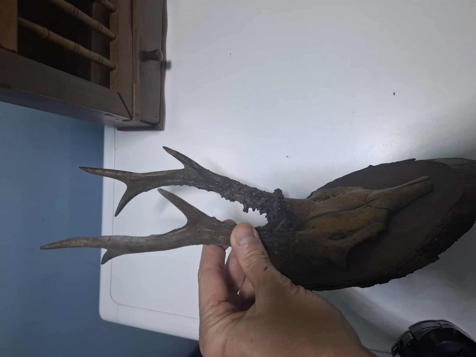 За битов кът механа Цена 50лв.