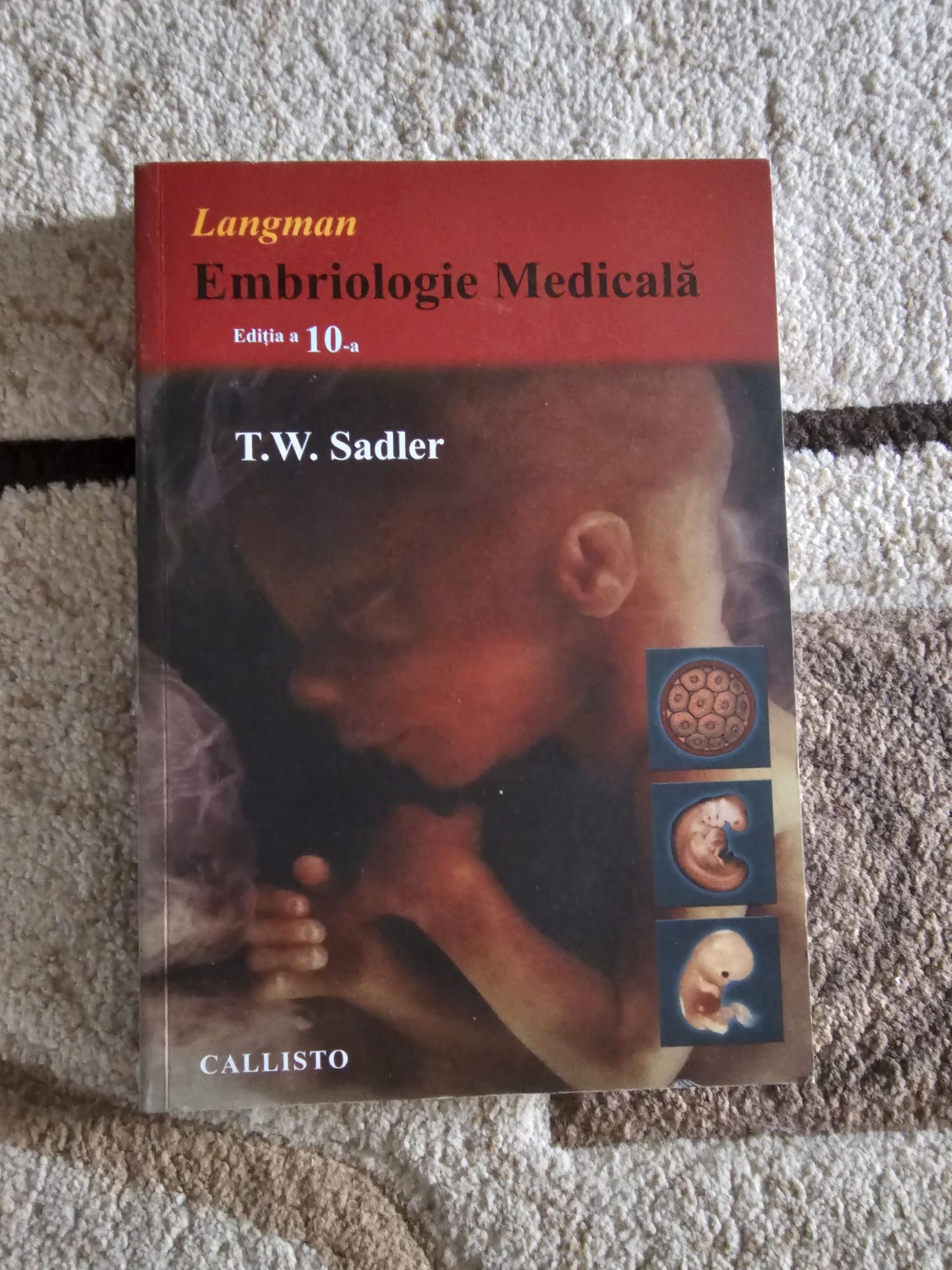 Langman Embriologie