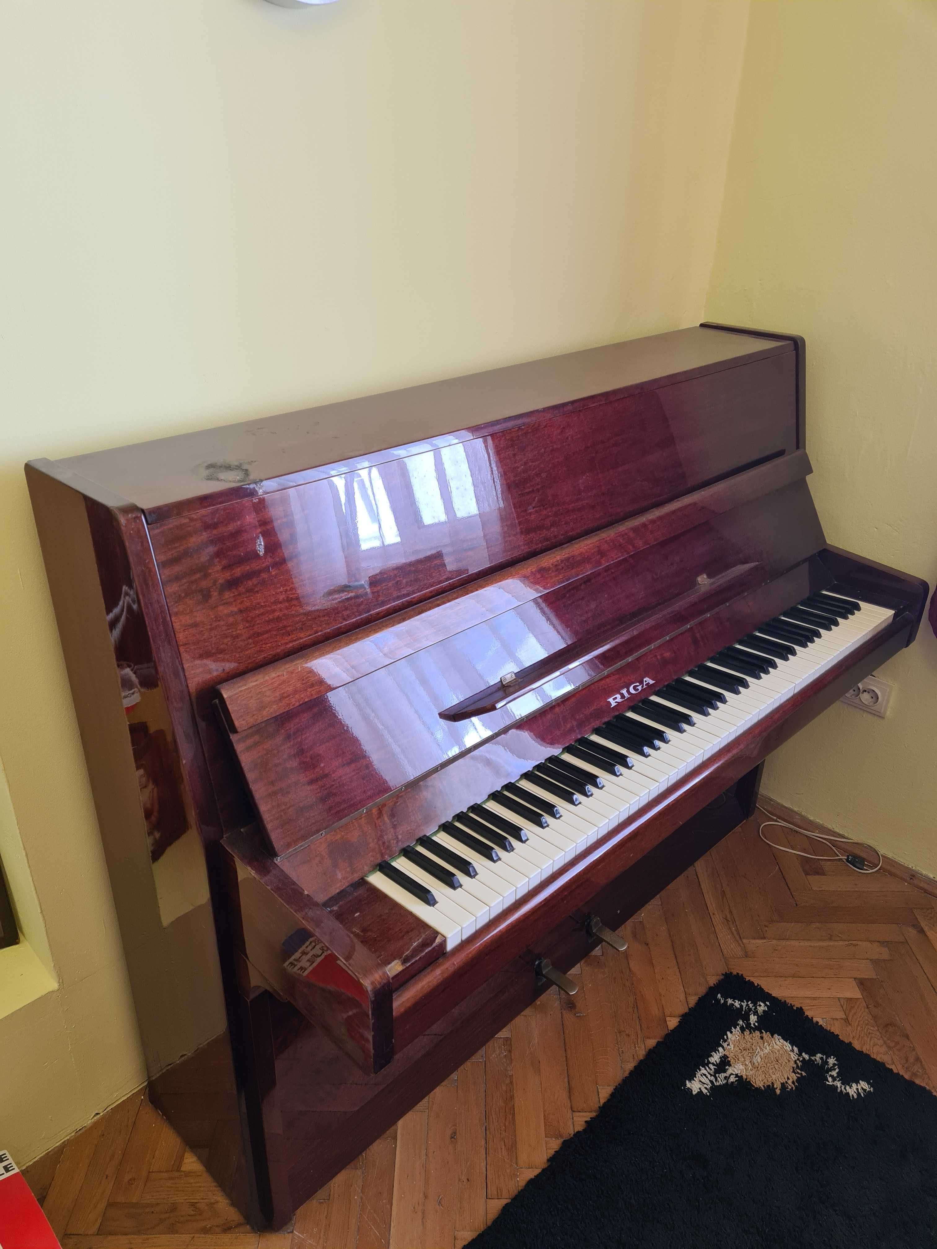 Pianina RIGA de vanzare