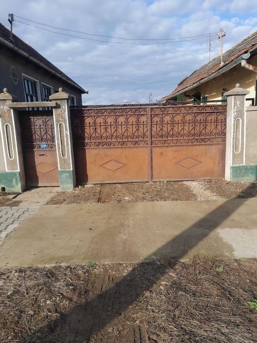 Vând poartă din fier