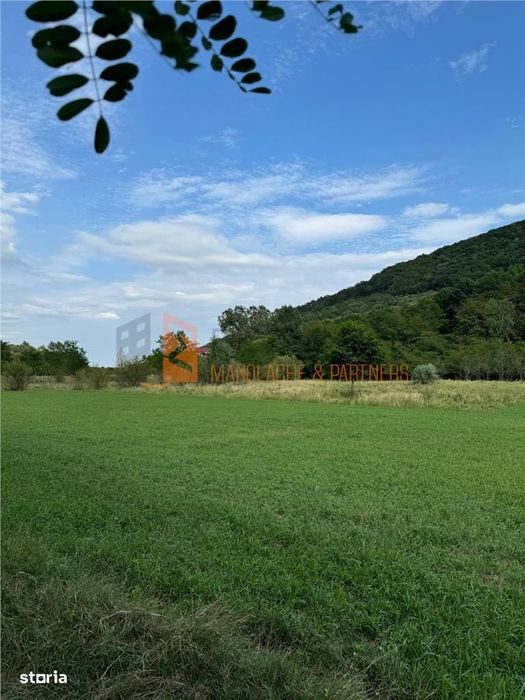 Teren intravilan zona Mierea, com. Vernesti